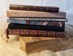 Pile de livres et carnets anciens posés sur une caisse en bois.